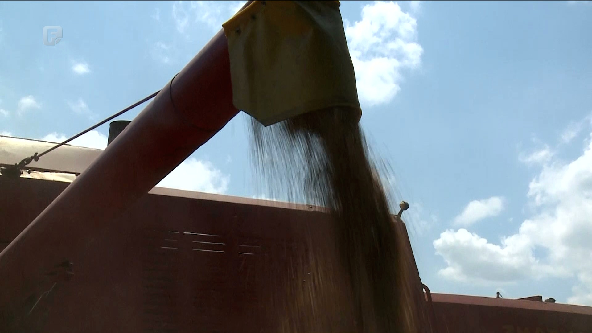 Poljoprivrednici pozivaju da se zaustavi uništavanje domaće proizvodnje